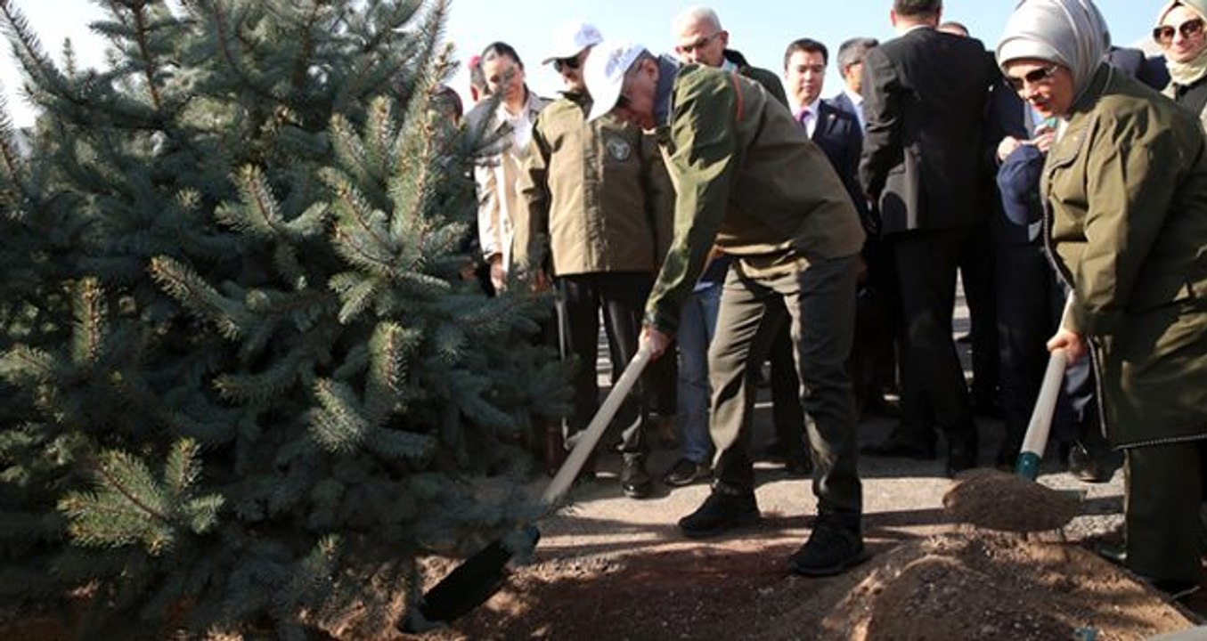 Son dakika: Cumhurbaşkanı Erdoğan, ilk fidanı dikerek "Geleceğe Nefes" etkinliğini başlattı! 11 milyon fidan toprakla buluşacak