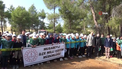 Suriye sınırında 60 bin fidan toprakla buluştu