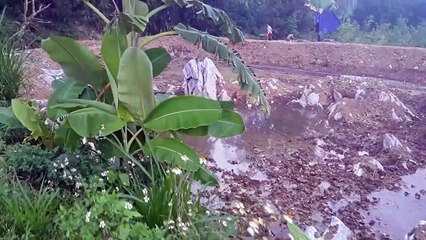 #7 CN Vlog | NHÀ SÀN BÊ TÔNG P1, LOẠI VẬT LIỆU MỚI KẾT HỢP BẢN SẮC DÂN TỘC