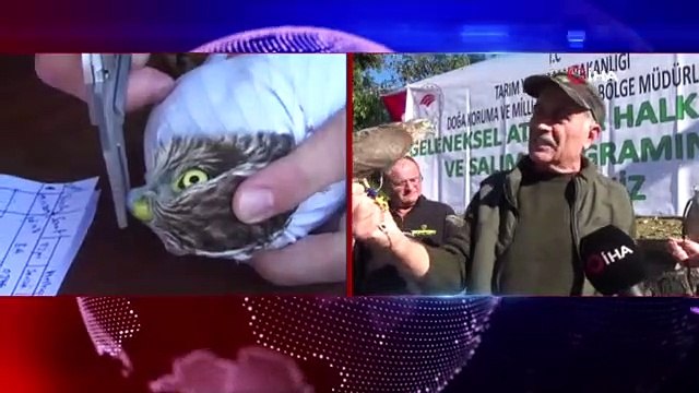 Atmacalar bu kez özgürlüğe kanat çırptı