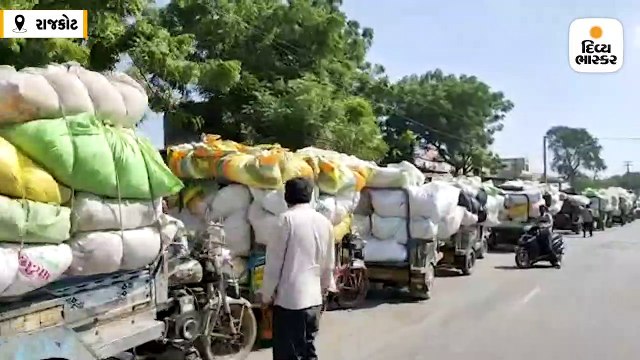 વાવાઝોડું ટળતા સૌરાષ્ટ્રના યાર્ડો મગફળી અને કપાસથી ઉભરાયા, રાજકોટ યાર્ડમાં આવક બંધ કરાઇ