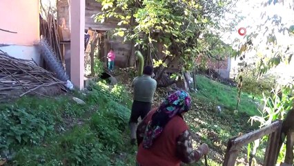 Bartın’da 170 santimetrelik kabak görenleri şaşkına çeviriyor