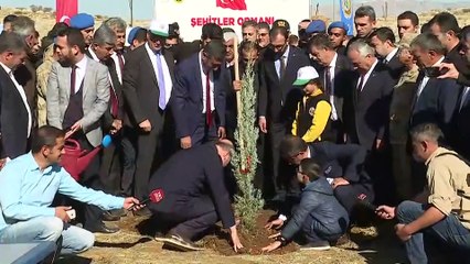 İçişleri Bakanı Süleyman Soylu, fidan dikti - ŞIRNAK