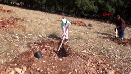 Adıyaman genelinde 175 bin fidan dikimi yapıldı