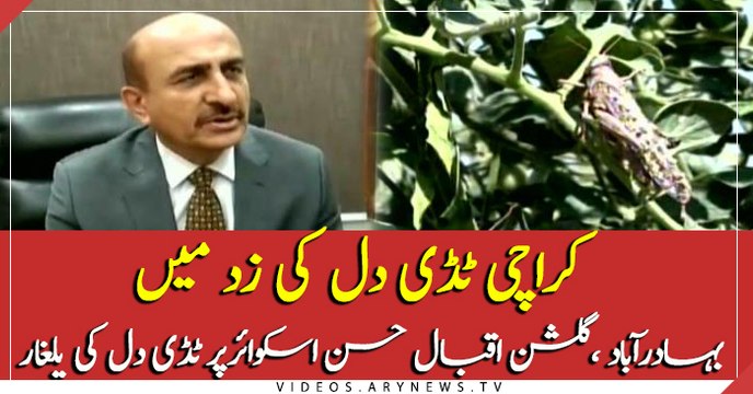 Karachi under attack of Locusts, Bahadurabad, Gulshan-e-Iqbal falls prey