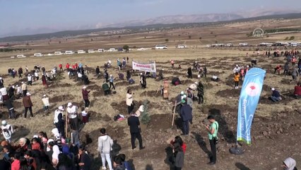 Milli Ağaçlandırma Günü - KAHRAMANMARAŞ