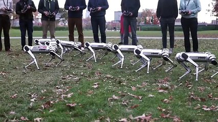 El partido de fútbol más adorable e inquietante: Los juegan robots Mini Cheetah del MIT