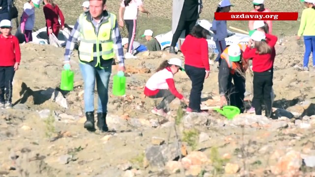 Azdavay'da Geleceğe Nefes kampanyası fidan dikimi