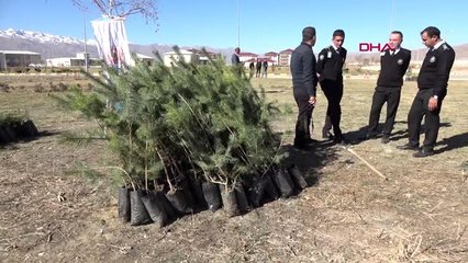 Hakkari-yüksekova'da 11 bin fidan toprakla buluşturuldu