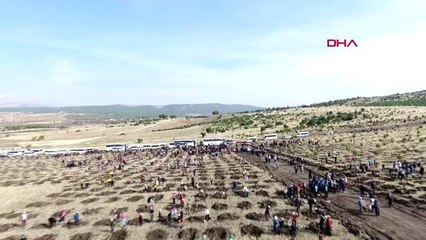 Kahramanmaraş'ta 222 bin fidan toprakla buluştu