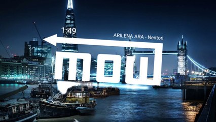 ARILENA ARA - Nëntori