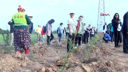 Trakya'da 302 bin fidan toprakla buluştu-çorlu