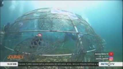 Jangan Asal Pasang Terumbu Karang