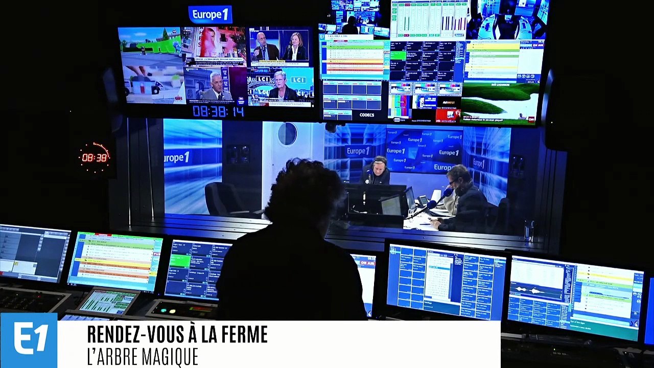 Le Ginkgo biloba, plus vieille espèce d'arbre au monde, "pourrait devenir le nouvel étendard de la résistance contre le changement climatique"