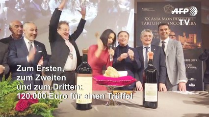 120 Euro für ein Gramm: Weißer Trüffel versteigert