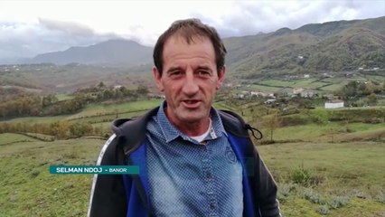 Ujqërit frikësojnë fshatarët në Mat, sulmojnë bagëtitë - News, Lajme - Vizion Plus