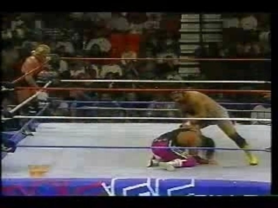 Bret Hart and Owen Hart vs The Steiner Brothers (1 of 2)