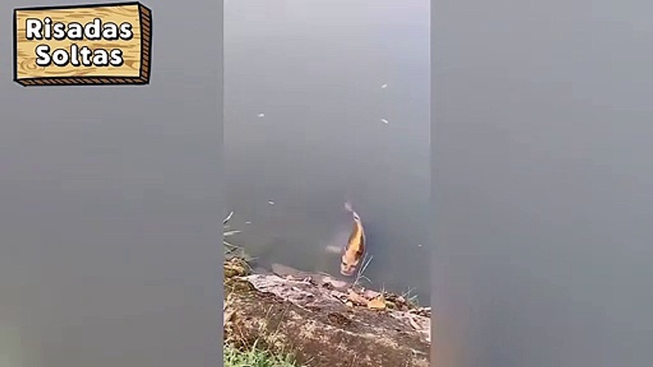 Human-faced fish spotted in China