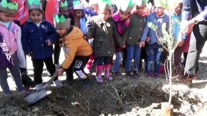 '11 Milyon Ağaç; Bugün Fidan, Yarın Nefes' programı - HAKKARİ