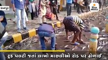 ટ્રક પલટી જતાં લાખો માછલીઓ રોડ પર ઢોળાઈ, લોકોએ લૂંટ મચાવી
