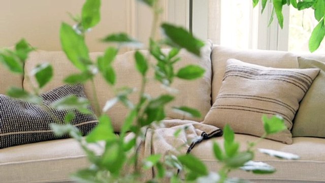 Salón clásico con muebles modernos contraste de estilos-FB