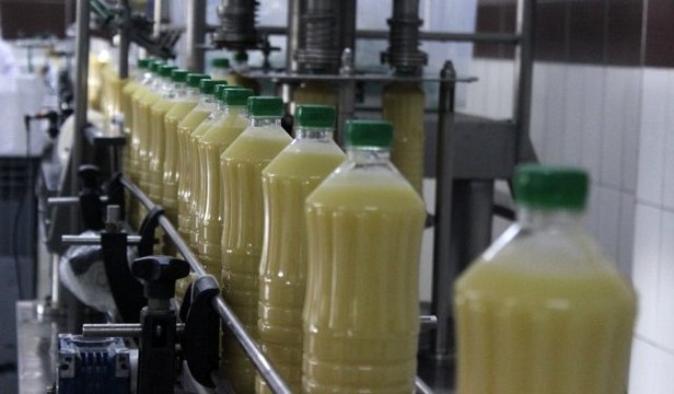 Meyveli boza üreten Bursalı firma, ABD'ye bile satış yapıyor