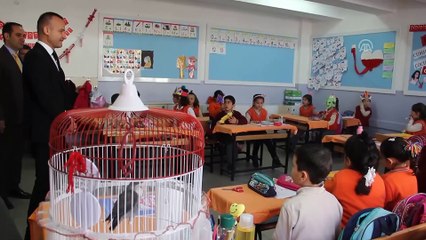 Miniklerin 'can dostları' ile neşeli eğitimi - AĞRI