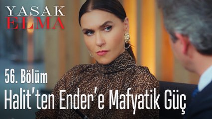 Halit ne zaman mafya oldu? - Yasak Elma 56. Bölüm