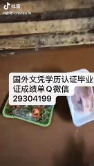 国（境）外文凭学历认证Q微29304199办Capilano毕业证成绩单卡毕兰诺大学文凭毕业证修改GPA成绩录取通知书雅思成绩单offer /Capilano文凭,教育部使馆留信认证,〈诚招代理〉Capilano University