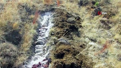 Usulsüz avlanılan hayvanların etleri imha edildi