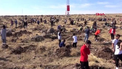 Şanlıurfa'da 3 saatte 287 bin fidan dikildi