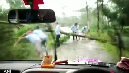 Cyclone Bulbul: Mamata Sets Up Task Force, Promises Rs 2 L Grant