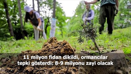 Türkiye ve dünya gündeminde neler oldu? İşte Bir Bakışta Bugün | 11 Kasım 2019