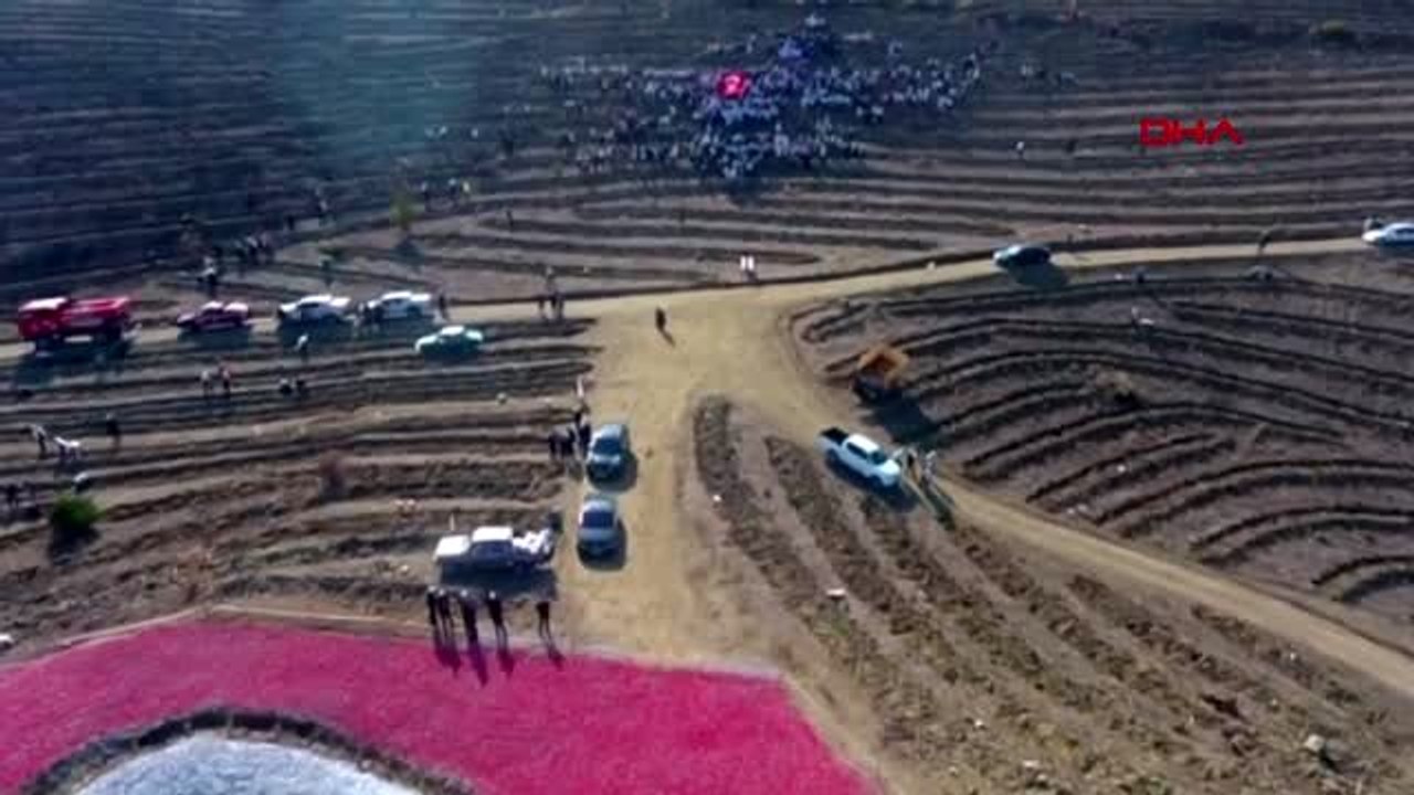 Sivas yanan ormanlık alana 'ay yıldızlı' projeyle 35 bin fidan dikildi