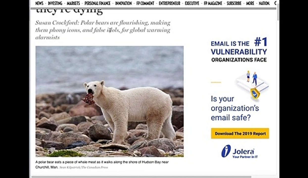 THERE'S TOO MANY POLAR BEARS 1