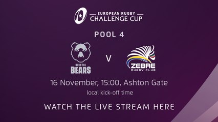 Bristol Bears v Zebre Rugby Club