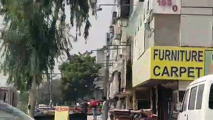 Tedde insects at Hassan square, Karachi