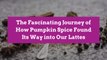 The Fascinating Journey of How Pumpkin Spice Found Its Way into Our Lattes
