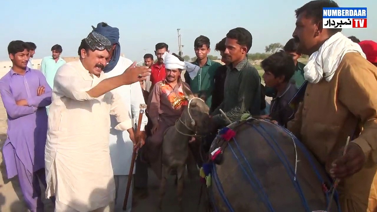 numberdar de shadi