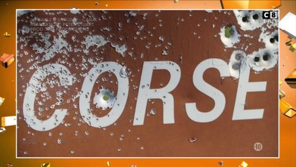 Corse : Des trous de balles un peu partout sur les panneaux !