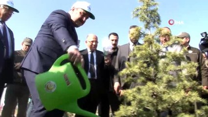 Bakan Varank: "Gezi Parkında birkaç ağaç için sokağa çıkanların artan orman varlıkları ile ilgili...