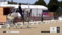 GN2019 | DR_06_Cluny | Pro Elite Grand Prix - Grand National | Carlos PINTO | SULTAO MENEZES*DE LA GESSE