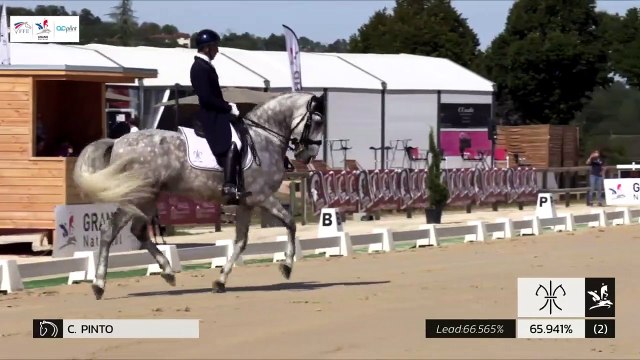 GN2019 | DR_06_Cluny | Pro Elite Grand Prix - Grand National | Carlos PINTO | SULTAO MENEZES*DE LA GESSE