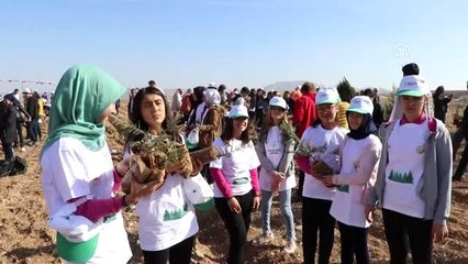 "11 Milyon Ağaç; Bugün Fidan Yarın Nefes" programı