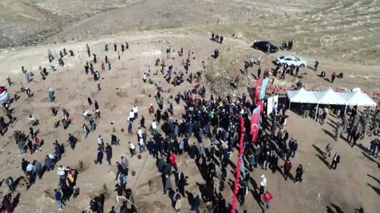 Fidan dikim alanı düzenlemesi sırasında mezar bulundu
