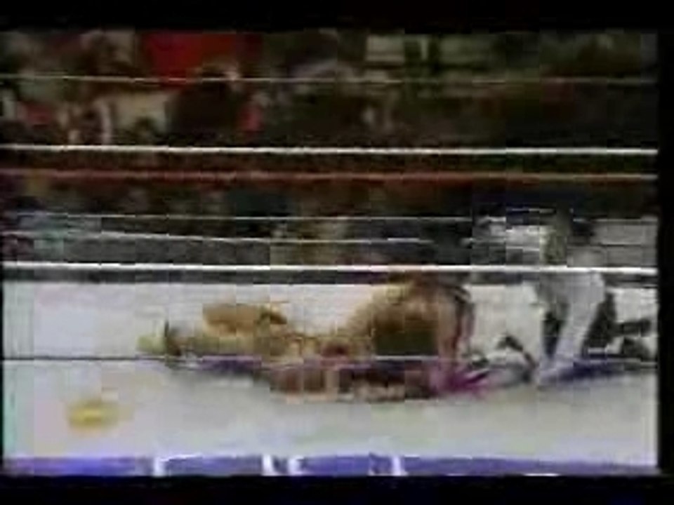 Bret Hart and Owen Hart vs The Steiner Brothers (2 of 2)