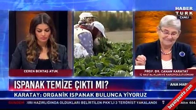 Canan Karatay: Ayıptır, günahtır