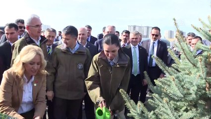 Bakan Pakdemirli'den ağaç dikme seferberliği mesajı - ANKARA