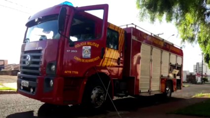 Corpo de Bombeiros é mobilizado para capturar cobra