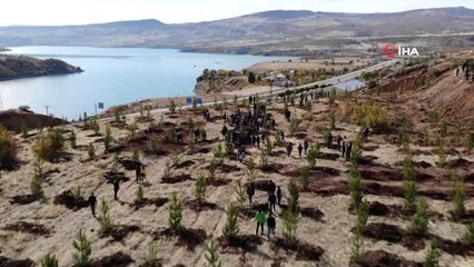 Elazığ, Tunceli ve Bingöl'de 545 bin fidan toprakla buluştu